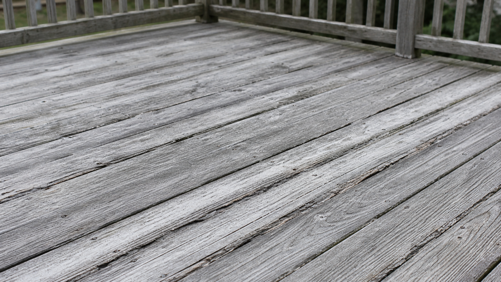 Close-up of a residential cedar deck surface showing UV graying, splintered fibers, popped finish nails, and faint mildew streaking before restoration work begins.